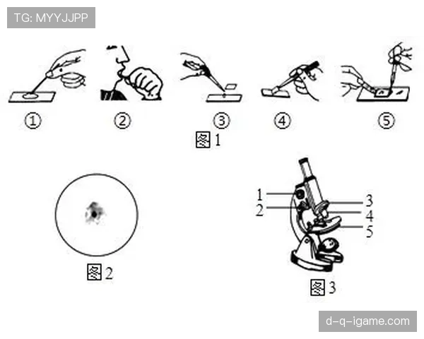 Griezmann的任意球技巧分析及其在比赛中的应用价值
