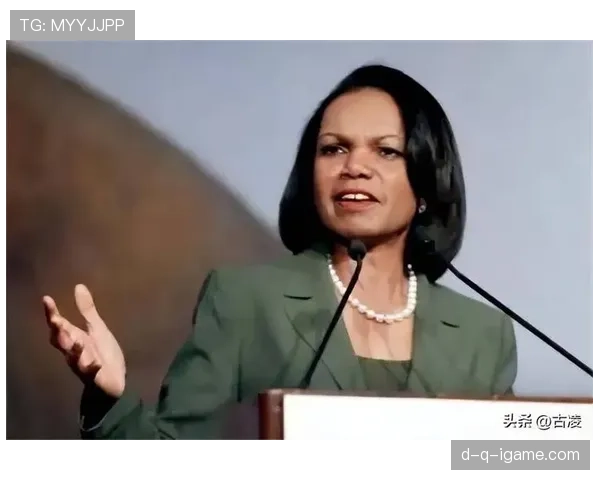 个人表现与团队成绩：赖斯的生涯评估