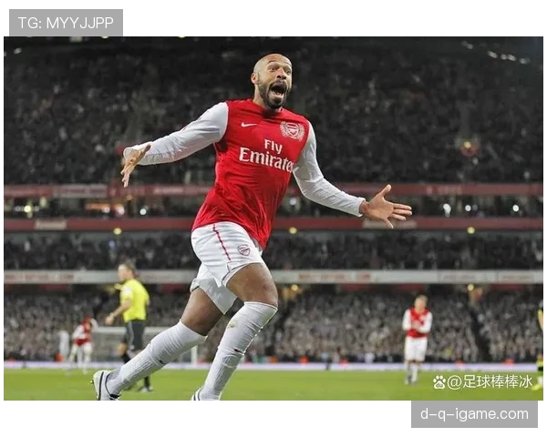 亨利世界杯表现解析